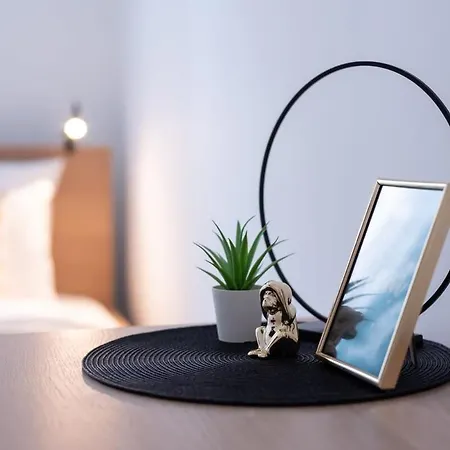 New Stylish And Super Budapesta